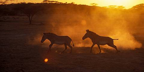 4-Day Magnificent Lake Nakuru Masai Mara Luxury Safari