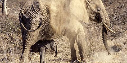 3-Day Segera Retreat in the Heart of Laikipia