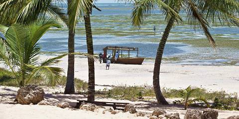Trek in Watamu – Beach, Culture & Marine Wonders