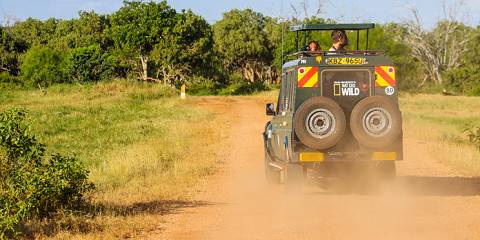 5-Day Tsavo East, Amboseli and Tsavo West from Coast