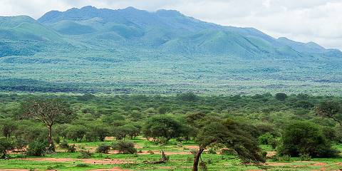 3-Day Tsavo West Wildlife Safari