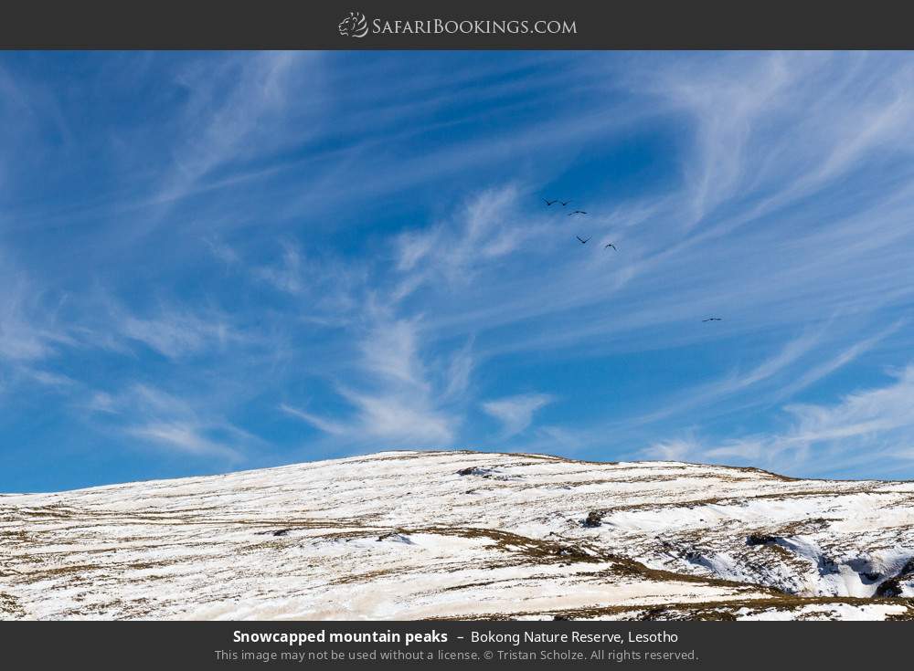 Snowcapped mountain peaks in Bokong NR in Bokong Nature Reserve, Lesotho