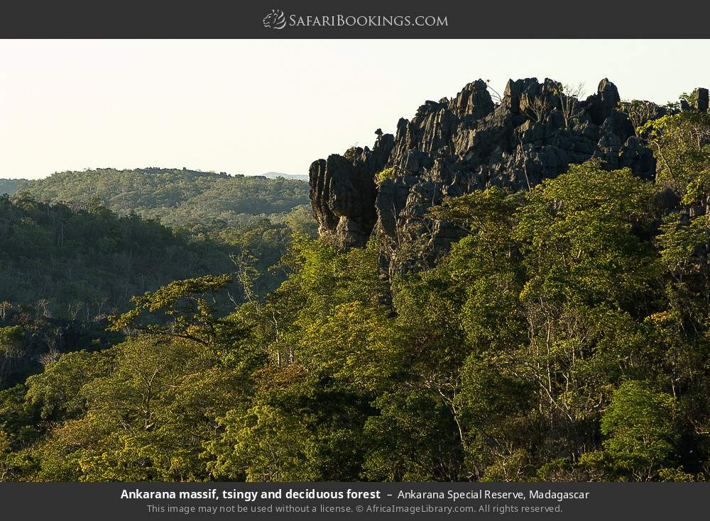Ankarana massif, tsingy and deciduous forest in Ankarana Special Reserve, Madagascar