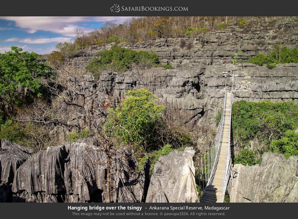 Hanging bridge over the tsingy in Ankarana Special Reserve, Madagascar