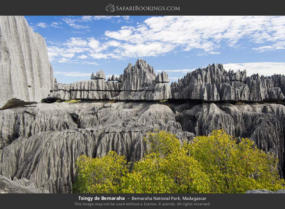 Tsingy de Bemaraha, limestone formation in Bemaraha National Park, Madagascar