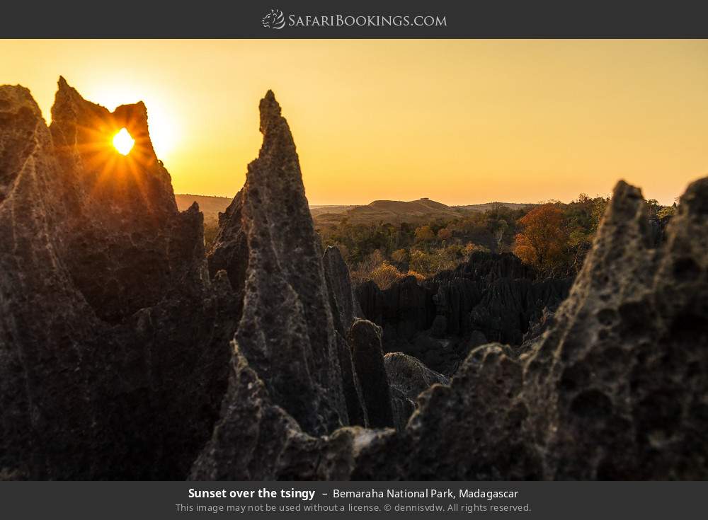 Sunset over the tsingy in Bemaraha NP in Bemaraha National Park, Madagascar