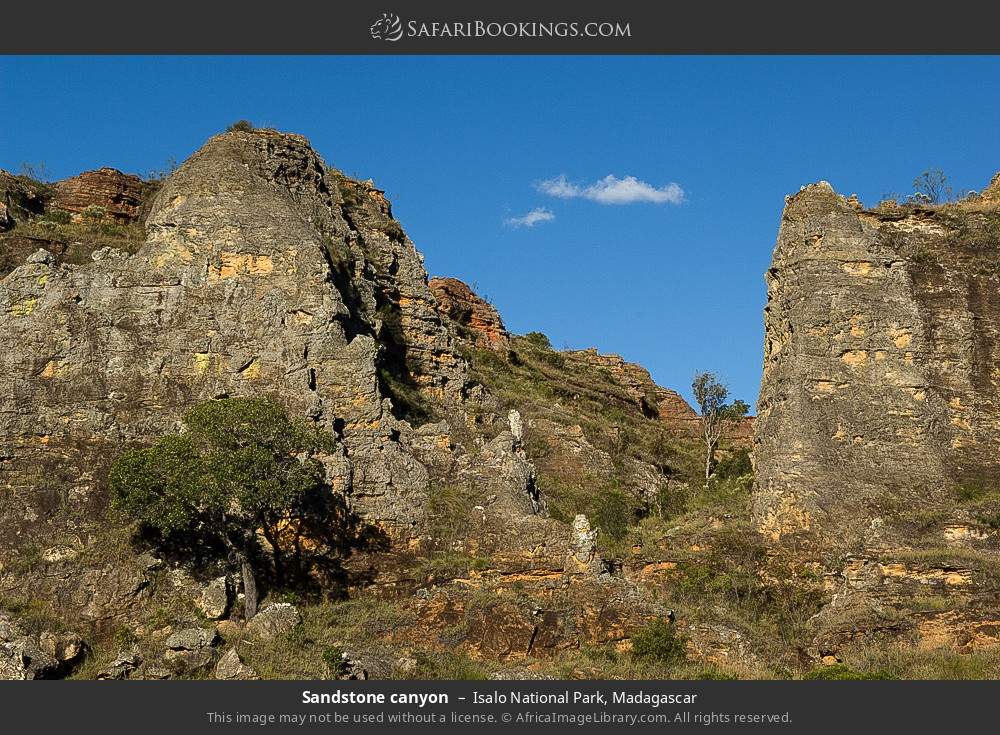 Sandstone canyon in Isalo National Park, Madagascar