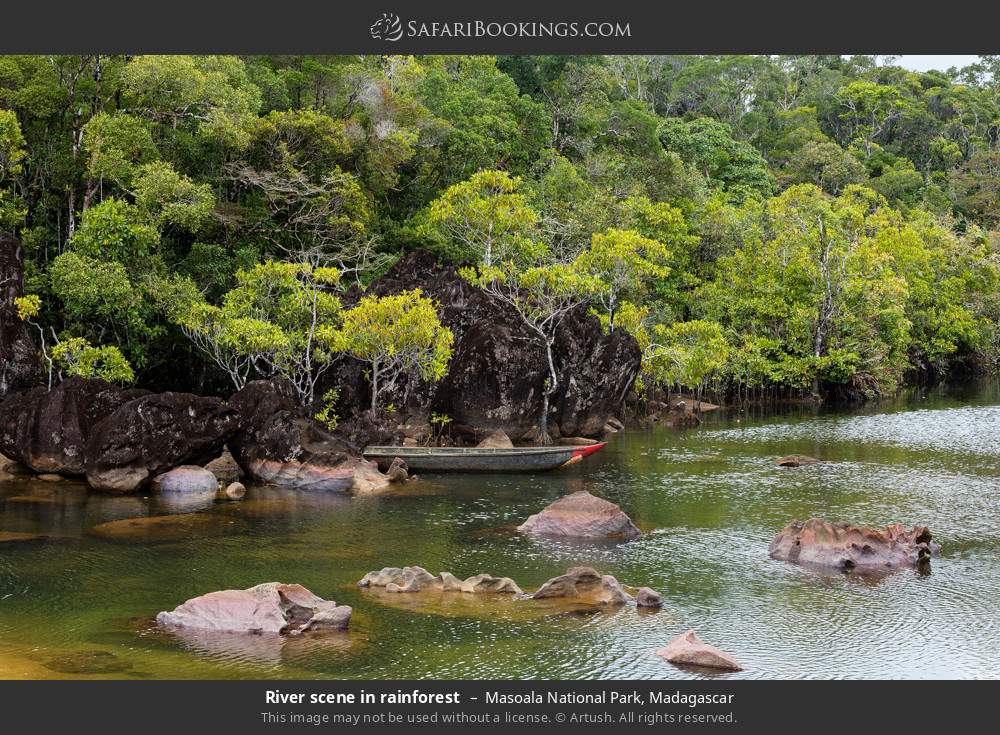 River scene in rainforest in Masoala National Park, Madagascar