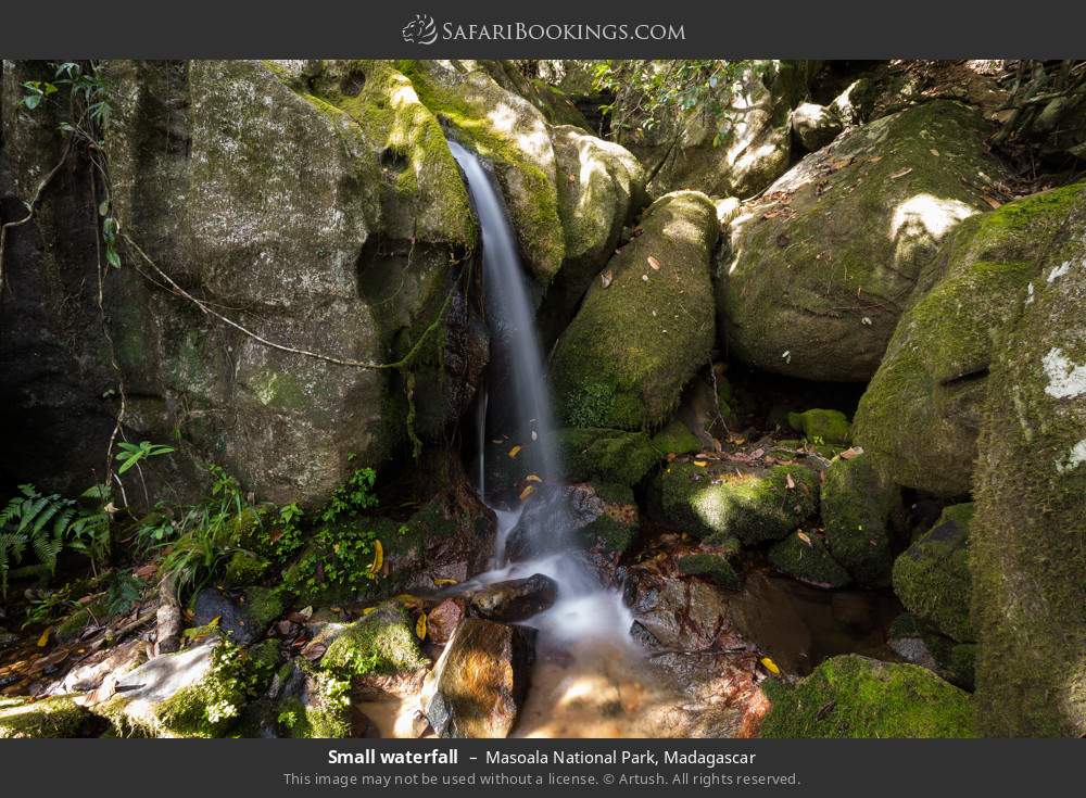 Small waterfall in Masoala National Park, Madagascar