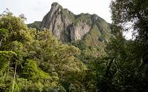 Marojejy National Park