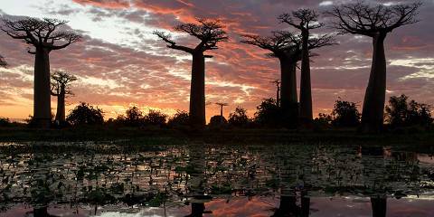 Ulitimate Madagascar Baobab Tsiribihina Adventure