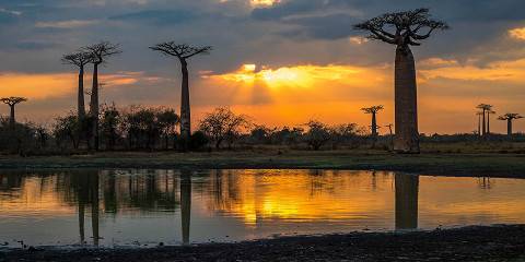 14-Day Tour to Tsingy Park Baobab Andasibe with Nosy Be