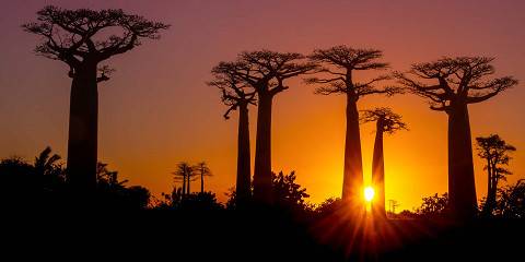 9-Day Baobabs and Lemurs Tour