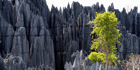 15-Day The Ultimate Madagascar National Parks Tour