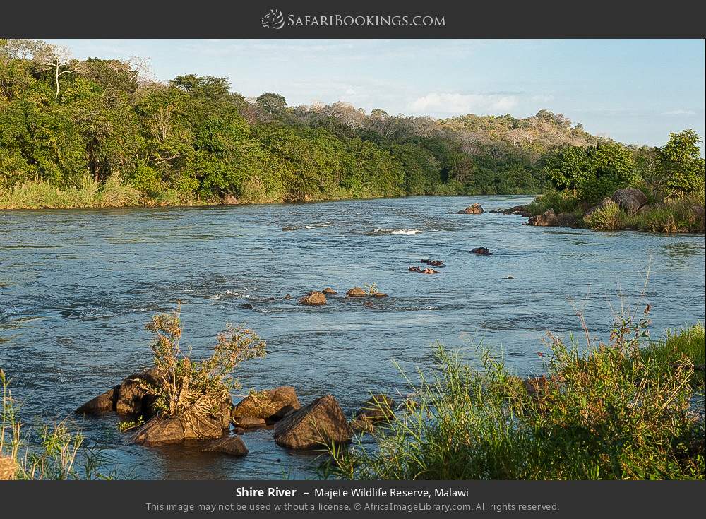 Shire River in Majete Wildlife Reserve, Malawi