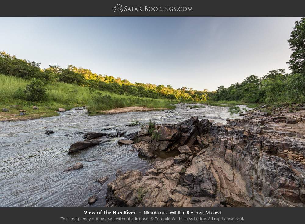 View of the Bua River in Nkhotakota Wildlife Reserve, Malawi