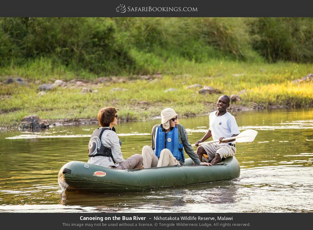 Canoeing on the Bua River in Nkhotakota Wildlife Reserve, Malawi
