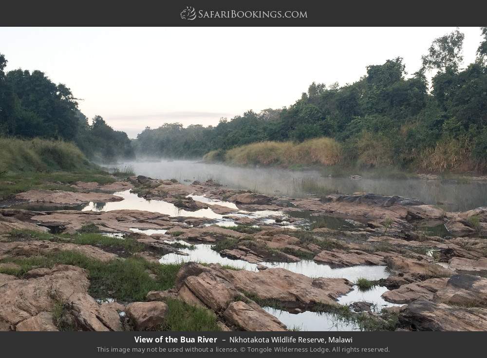 View of the Bua River in Nkhotakota Wildlife Reserve, Malawi