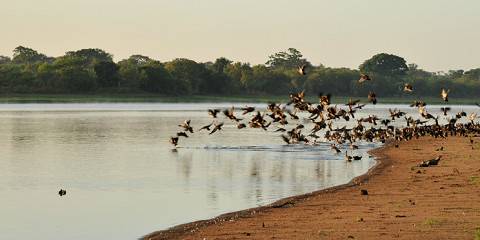 Discovering the Wonders of Lake Malawi