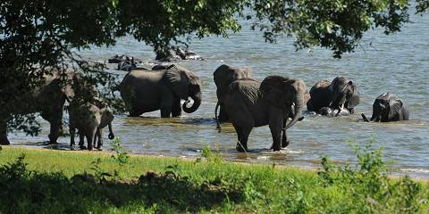12-Day All Women Group Tour
