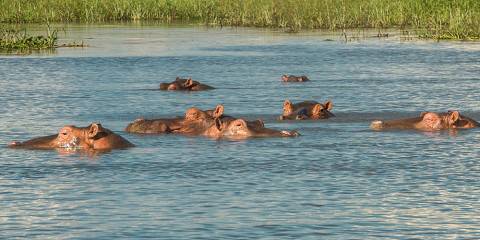 Wild Luxury at Nkulumadzi in Majete Malawi