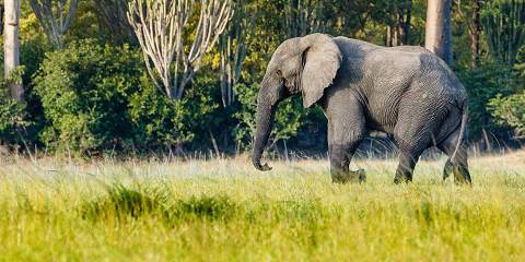 Highlights of Malawi