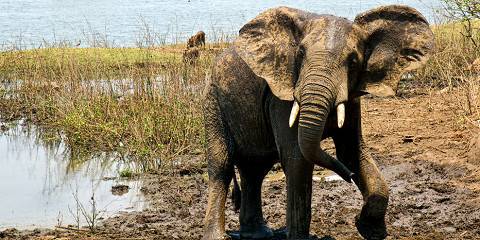 Malawi Highlights