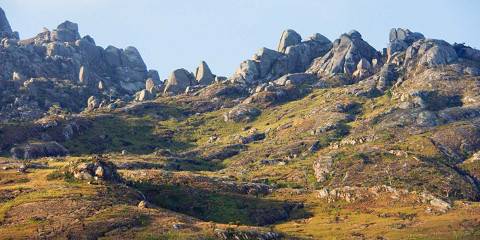 Malawi Wildlife, Lake and Culture