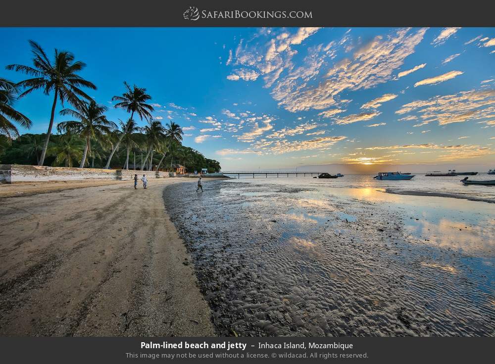 Palm-lined beach and jetty on Inhaca Island in Inhaca Island, Mozambique
