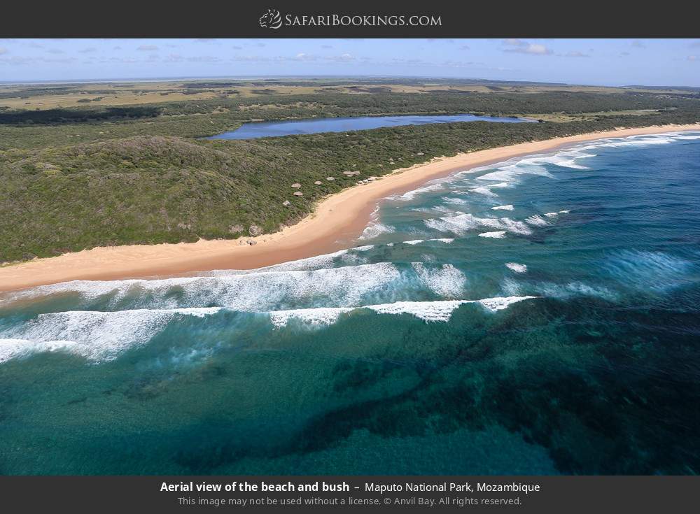Aerial view of the beach and bush in Maputo National Park, Mozambique