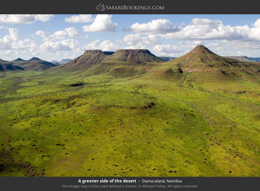 A greener side of the desert, Damaraland in Damaraland, Namibia