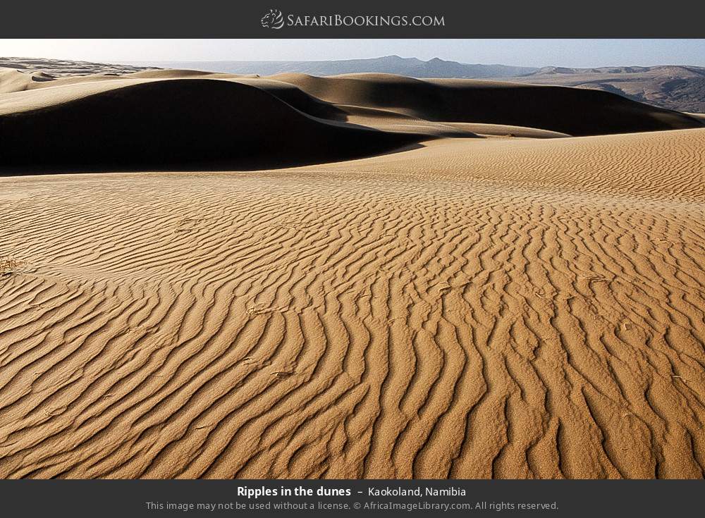 Ripples in the dunes, Kaokoland in Kaokoland, Namibia