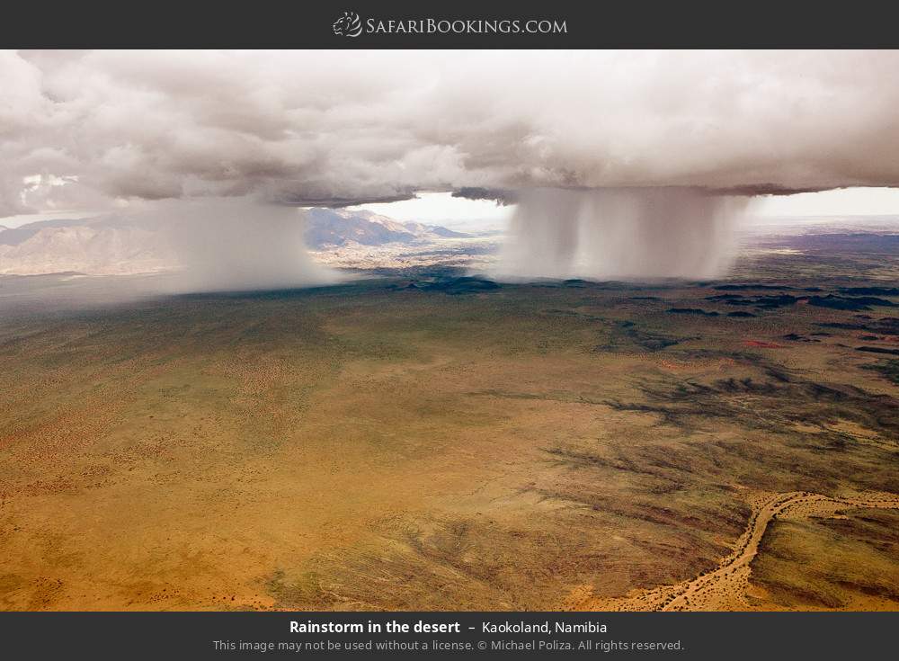 Rainstorm in the desert, Kaokoland in Kaokoland, Namibia