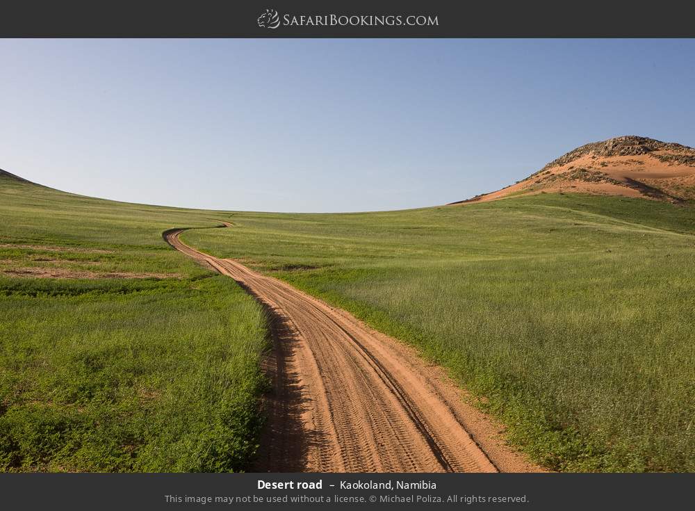 Desert road in Kaokoland in Kaokoland, Namibia