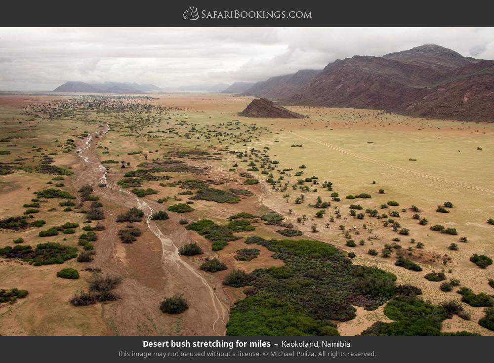 Desert bush stretching for miles, Kaokoland in Kaokoland, Namibia