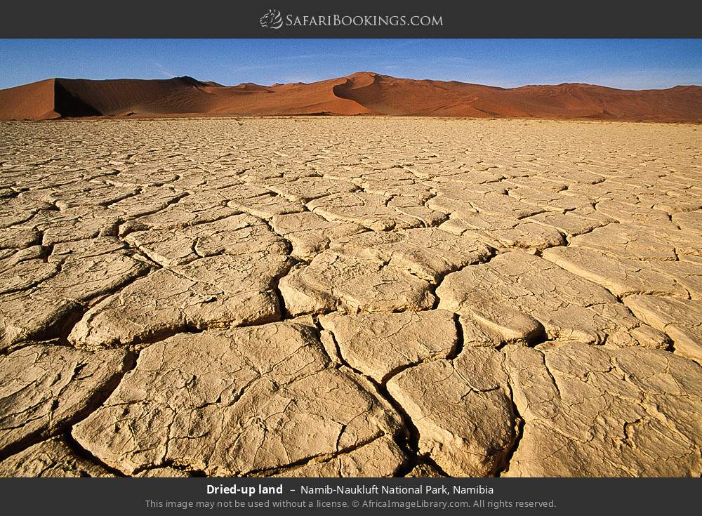 Dried-up land, Namib-Naukluft NP in Namib-Naukluft National Park, Namibia