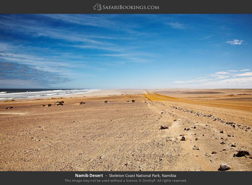 Namib Desert, Skeleton Coast NP in Skeleton Coast National Park, Namibia