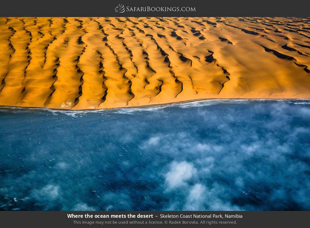 Where the ocean meets the desert, Skeleton Coast NP in Skeleton Coast National Park, Namibia