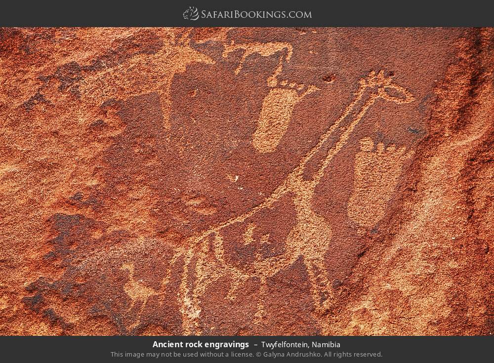 Ancient rock engravings, Twyfelfontein in Twyfelfontein, Namibia