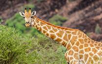 Erindi Private Game Reserve