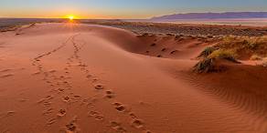 Open Photos