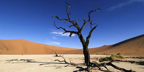 Sossusvlei Escape Fly-in Safari
