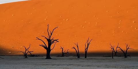 Mid-Range Safari & Scenic Tour of Namibia