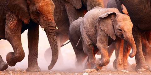 13-Day Highlights of Classic Namibia