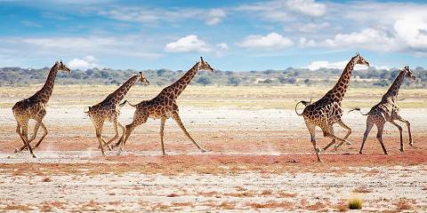10-Day Whirlwind Wanderlust Namibia Self Drive