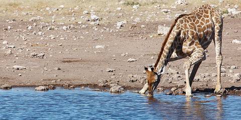 10-Day Special Highlights of Namibia
