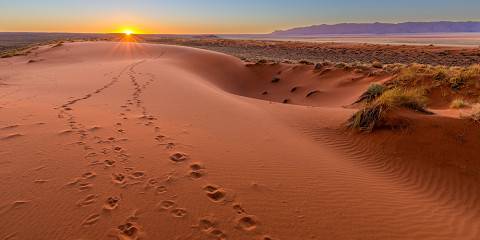 Namibia in a Nutshell Guided Safari