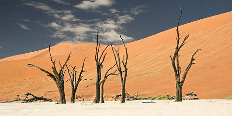 5-Day Kalahari and Sossusvlei Self-Drive Safari