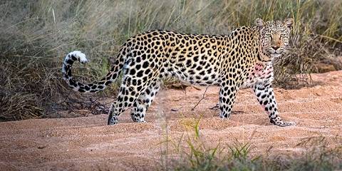 Namibian Favorites Fly-in Safari
