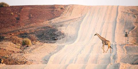8-Day Namibia Express